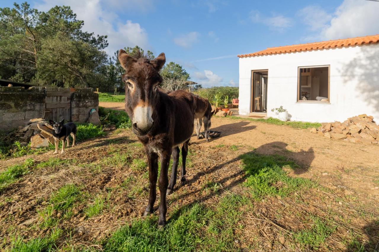 Casa Da Paz Aljezur